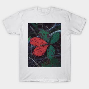 Virginia Creeper T-Shirt